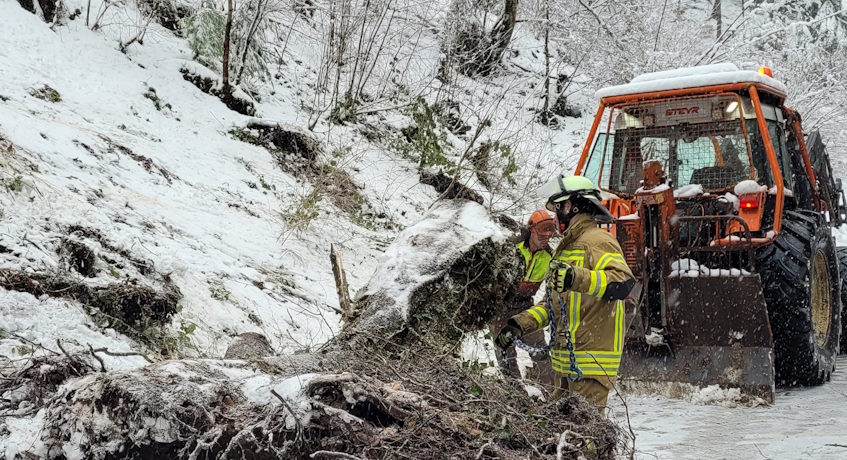 Umgekippte Bäume rufen zum Einsatz